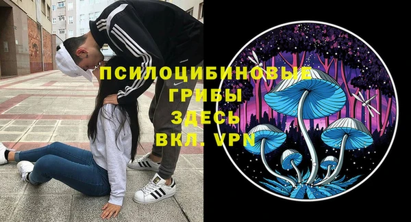 mdpv Арсеньев