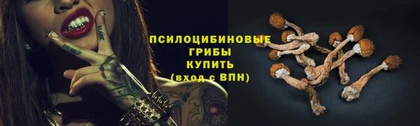 spice Аркадак