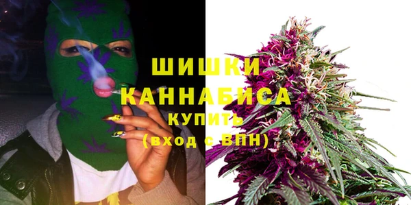 spice Аркадак