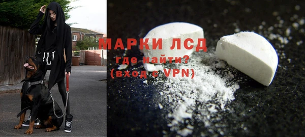 spice Аркадак