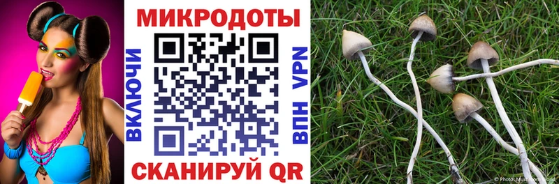 Галлюциногенные грибы GOLDEN TEACHER  Павловский Посад 